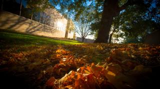 Fallen leaves on a sunny autumn day at Creighton.