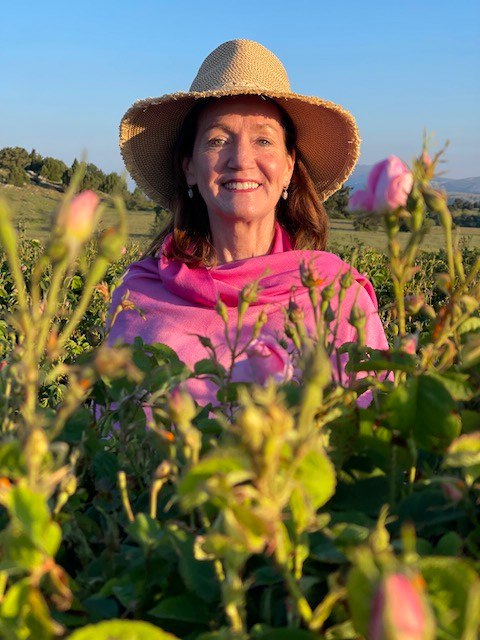 Suzanne McCormick