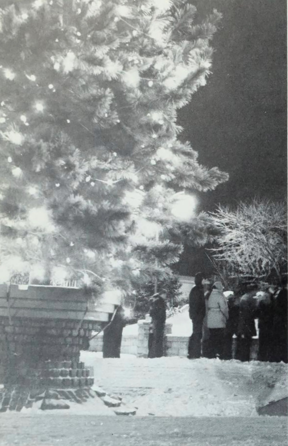 The Christmas tree in front of St. John's.