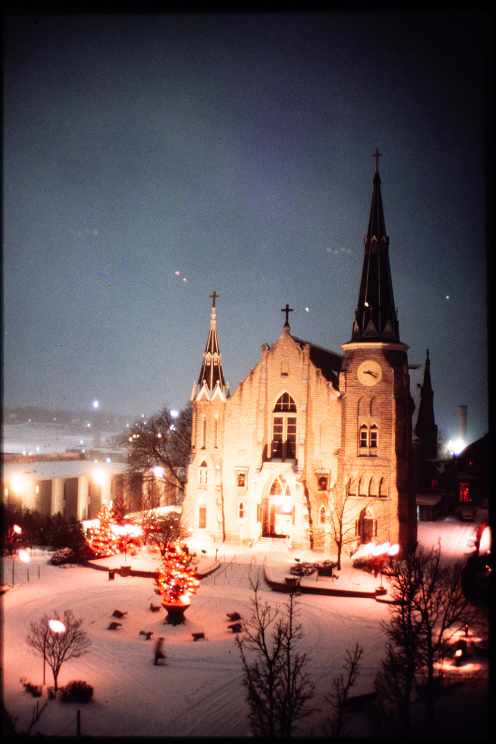 The Christmas tree in front of St. John's.