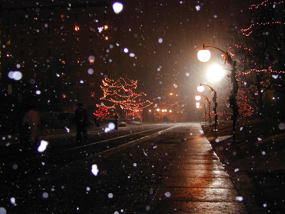 Flurries in front of a light-covered campus.