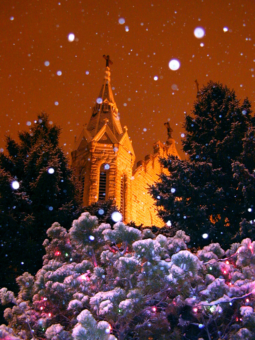 A snowy Christmas scene in front of St. John's.